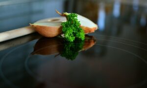 ceramic-hob-2470602_960_720